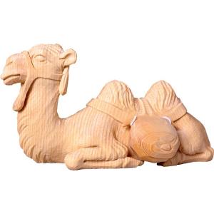 Cammello sdraiato T.K.