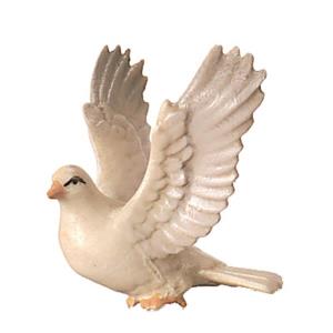 Dove flying