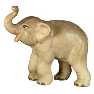 Elefante cucciolo