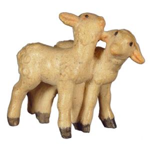 Lambgroup standing upright