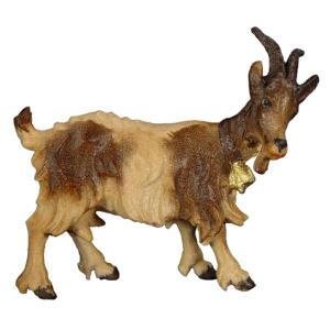 Goat with bell