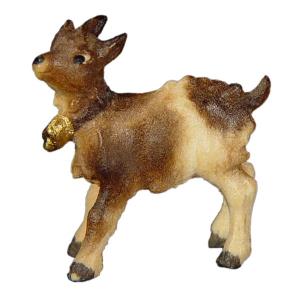 Young goat with bell