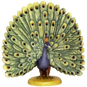 Peacock