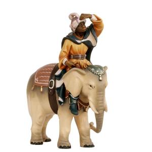 Elephant with driver