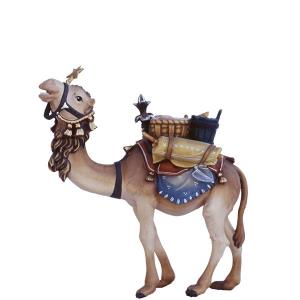 Camel with baggage
