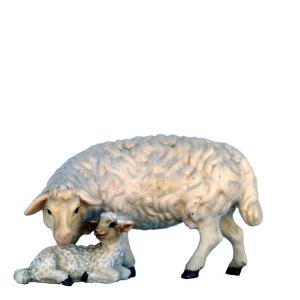 Sheep with lamb