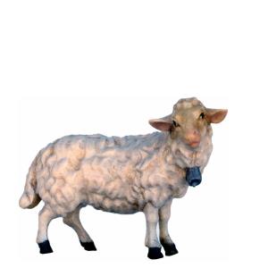 Pecora con campanella