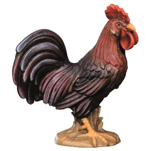 Cock
