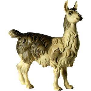 Lama