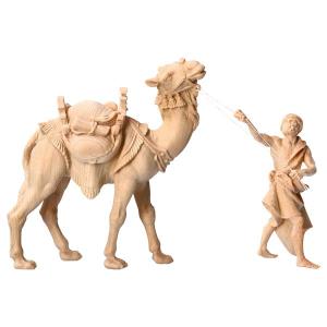 MO Gruppo del cammello in piedi 3 Pezzi