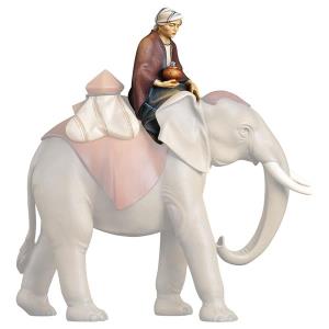 CO Sitting elephant driver