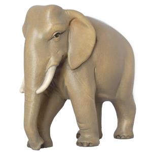 Elefante