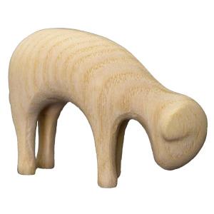 Pecora mangiante Aram frassino