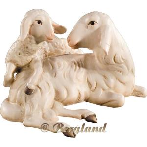 Sheep group lying (without base)