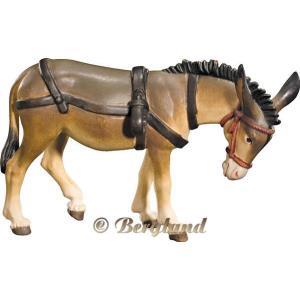 Donkey for cart
