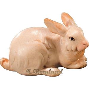 Rabbit lying