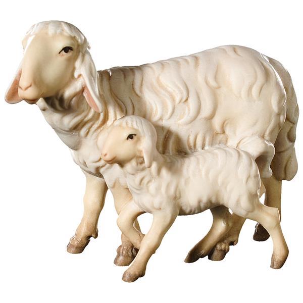 Pecore in piedi - colorato
