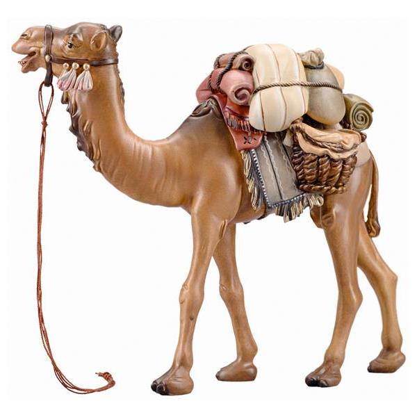 IN Camello con bagagli - colorato