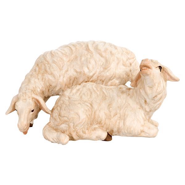 Gruppo di pecore - naturale