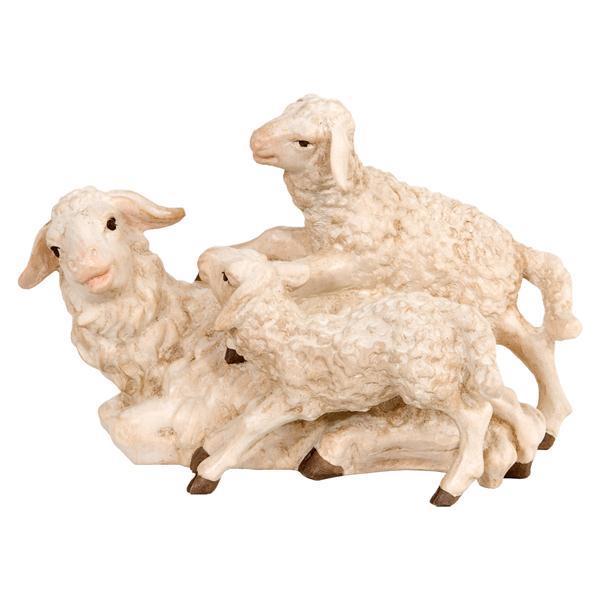 Pecore con agnelli - naturale