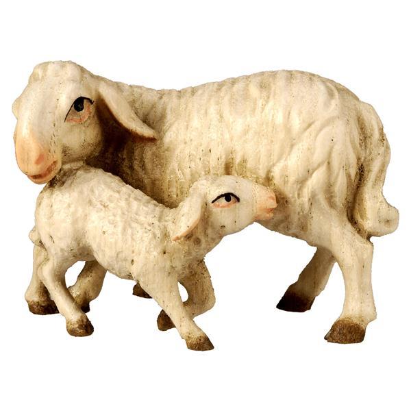 Pecora in piedi con agnello - naturale
