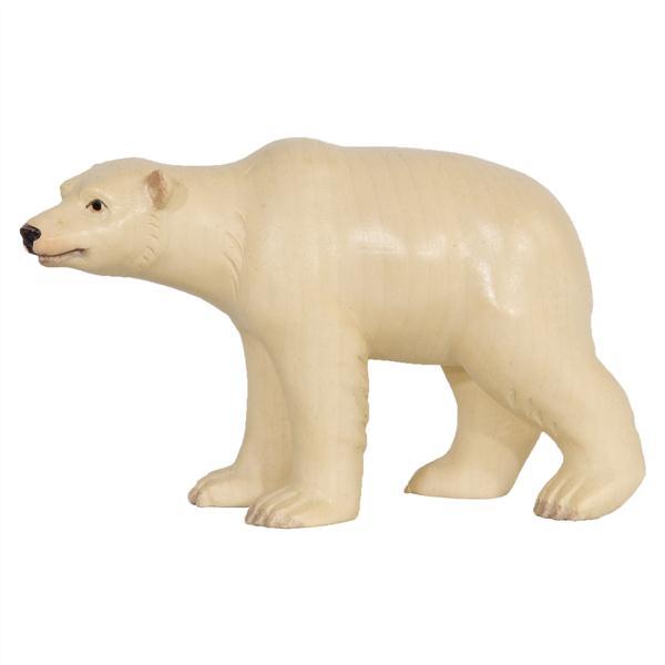 Orso polare maschio - Acquarello