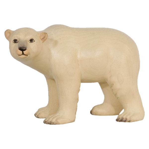 Orso polare femmina verso sinistra - Acquarello