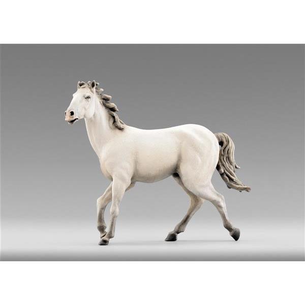 Cavallo Bianco - colorato