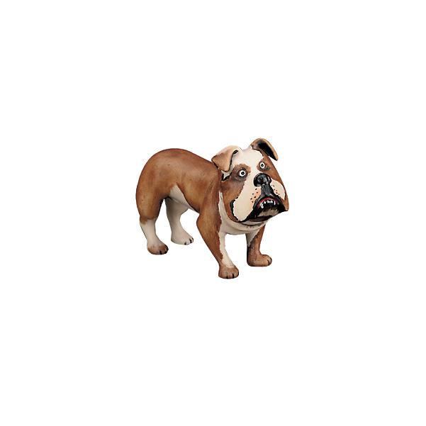 Bulldog (senza piedistallo in plexiglas) - colorato