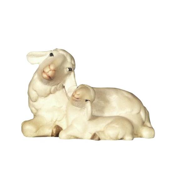 Pecora sdraiata con agnello che dorme - colorato