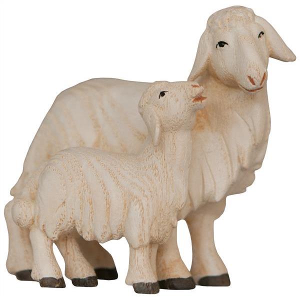 Pecora con agnello - colorato