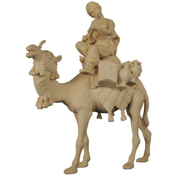 Camello con bagaglio e Cammelliere seduto - naturale