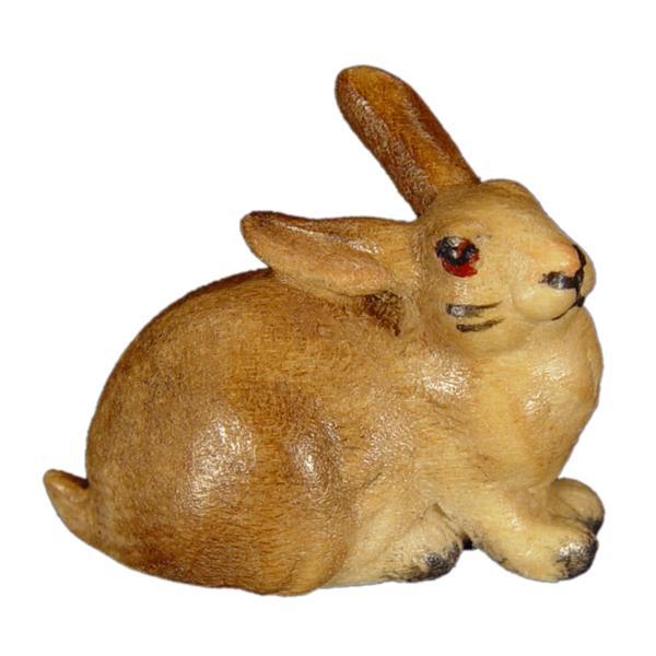 Coniglio sdraiato - colorato