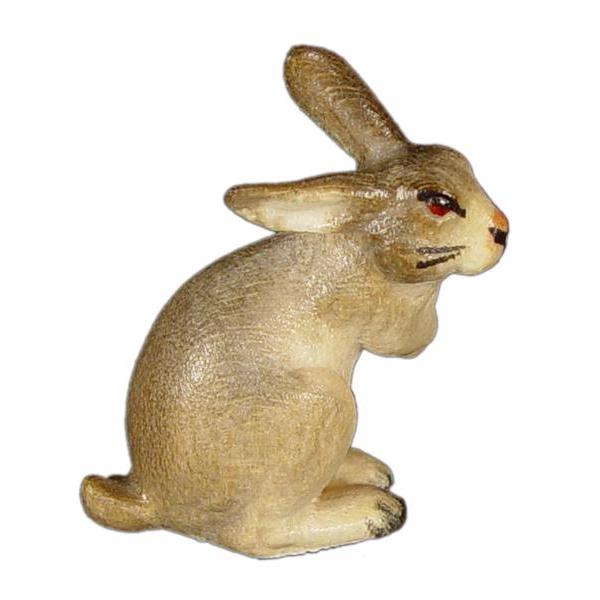 Coniglio saltante - colorato