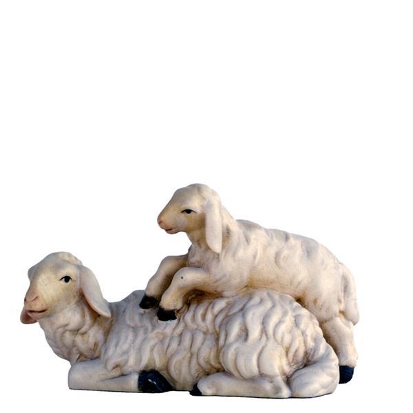 Pecora distesa con agnello - naturale