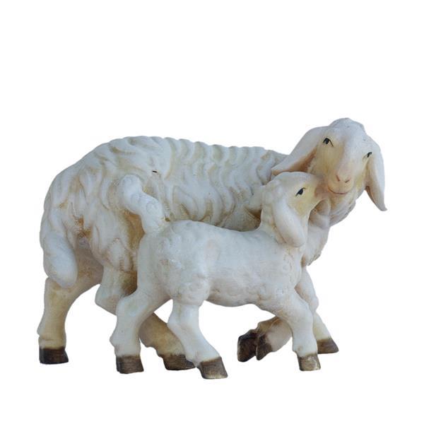 Pecora con agnellino - naturale