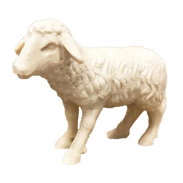 Pecorella in piedi - naturale