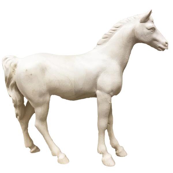Cavallo bruno - naturale
