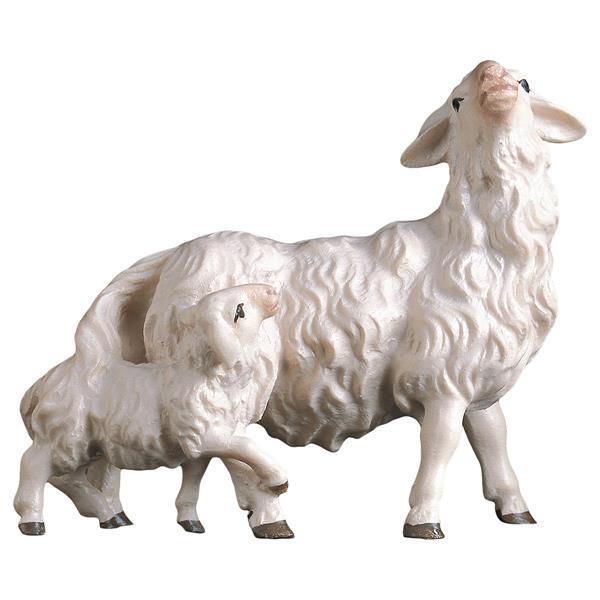 UL Pecora con agnello dietro - colorato