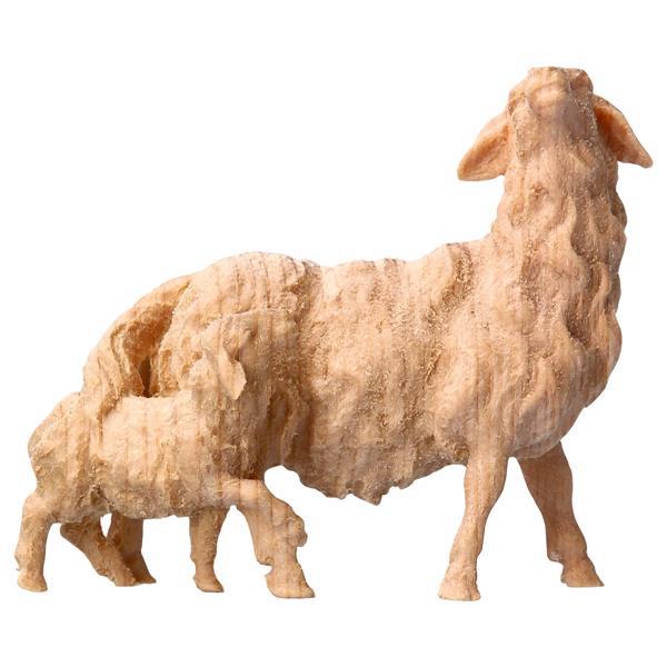 MO Pecora con agnello dietro - Nat. Cirmolo