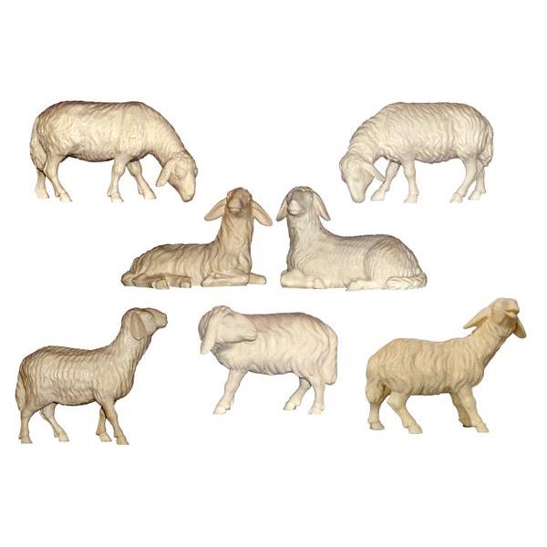Set 7 Pecore - naturale